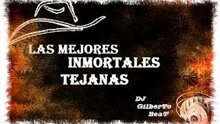 LAS MEJORES INMORTALES TEJANAS  DJ Gilberto Rodriguez [upl. by Aerdnaid]