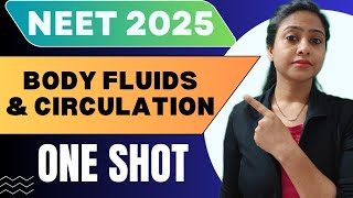 Body Fluids and Circulation  One shot chapter  Full Chapter  Class 11 Biology  NEET 2025 [upl. by Velleman]