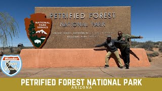 Visit to Petrified Forest National Park  Arizona [upl. by Haye]