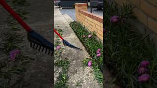 clean every corner of your gardencleaning garden satisfyinglawncare satisfying enjoy shorts [upl. by Anilrahc714]