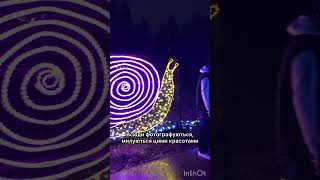 Bear Creek Park  light show Безкоштовна розвага для всіх [upl. by Shieh]