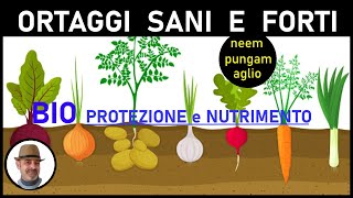 BIONUTRIC  per DIFESA DELLE RADICI DEGLI ORTAGGI nematodi nottue e larve [upl. by Edras168]