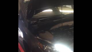 2015 Focus ST Built Motor Dyno [upl. by Lowry246]