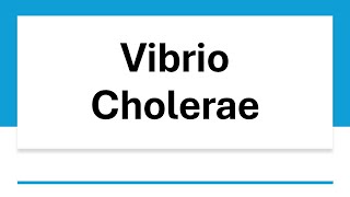 Vibrio Cholerae [upl. by Jorgenson]