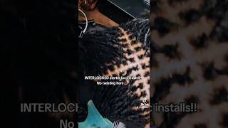 INTERLOCKED Microlock install microlocks locs locnation sisterlocks [upl. by Nosreip]