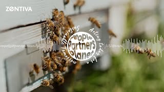 S1E11  Zentiva Sustainability Podcast About Bees and AI [upl. by Adnawyek4]