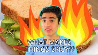 What Makes Things Spicy Explained with Science [upl. by Naivart568]