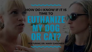 How Do I Know if it is Time to Euthanize my Dog or Cat Vlog 102 [upl. by Lleval252]