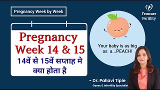 14th amp 15th week of Pregnancy Pregnancy week by week in hindi Dr Pallavi  Femcare Fertility [upl. by Eppilihp]