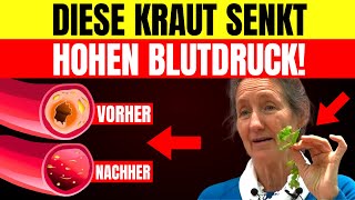 3 Wunderkräuter zur Senkung des Blutdrucks amp Arterienreinigung – Barbara ONeills Geheimnisse [upl. by Amelina]