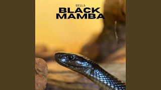 Black Mamba [upl. by Landry]