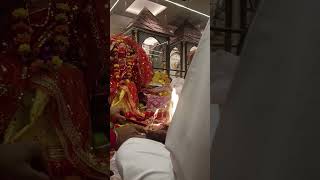 Tulsi Vivah sahnewal shivalaya Mandir 13 November 2024 [upl. by Asilav]