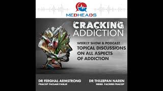 Cracking Addiction  An Introduction [upl. by Jyoti244]