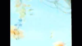 Flik’s Fun Fair 2002 Promo VHS Capture [upl. by Alda255]