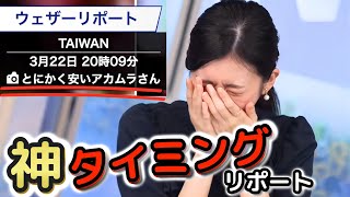 【大島璃音】神タイミングでの視聴者リポートquotトラップquotに、情報多すぎて混乱が収まらないquotお天気お姉さんquot【ウェザーニュース切り抜き】 [upl. by Harrie]