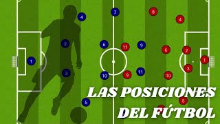 LAS POSICIONES EN EL FÚTBOL  Características funciones y roles de los jugadores de fútbol [upl. by Eednahs]