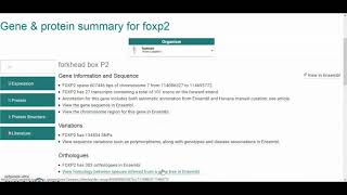 EMBL EBI FoxP2 gene [upl. by Boehike]