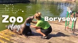 ZOO BORYSEW Vlog Nie uwierzysz co zobaczyliśmy Dwie gwiazdy odcinka [upl. by Latreece]