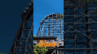 Untamed Walibi Holland shorts [upl. by Ghiselin985]