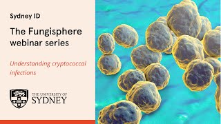 The Fungisphere  Understanding cryptococcal infections [upl. by Mika]