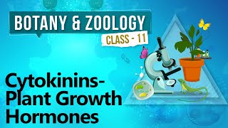 Cytokinins  Plant Growth Hormones  Plant Growth and Development  Biology Class 11 [upl. by Anneirda]