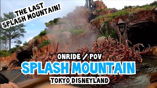 Splash Mountain  Tokyo Disneyland POV Onride  Last Splash Mountain in Operation [upl. by Shiverick]