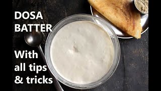 DOSA BATTER RECIPE  HOW TO MAKE DOSA BATTER  HOME with tips and tricks [upl. by Alehc]