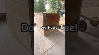 Outdoor doghouse with a floor Goat shelter pigs tortoise backyard build CoopsByJoe fyp viral [upl. by Elicia]