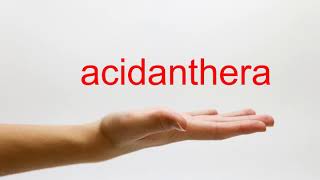 How to Pronounce acidanthera  American English [upl. by Levison835]