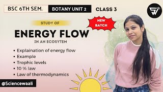 Energy Flow in an Ecosystem🌳Trophic levelsLaw of thermodynamicsBSc 6th Sem BOTANY unit 2 [upl. by Rem]