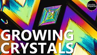 Grow Crystals  A Time Lapse that will blow Your Mind [upl. by Olympium]