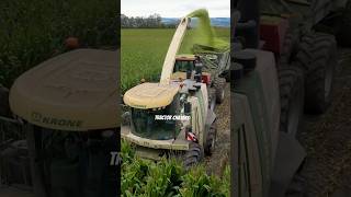 Krone Big X 700 chopping corn tractorvideo harvestingmachine [upl. by Jar142]