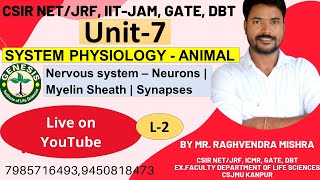 Neuron  Myelin sheath  Synapses  Nervous System  SYSTEM PHYSIOLOGY  ANIMAL Unit7 [upl. by Ahsieka]