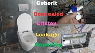 How To Repair Geberit Concealed Cristen  Geberit Concealed Flush Leakage Fix Flush tank Leakage [upl. by Monique]