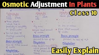Osmotic Adjustment In Plants  Hydrophytes  Xerophytes  Halophytes  UrduHindi [upl. by Tserof]