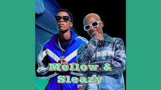 Mellow amp Sleazy  Ndiya Official Audio ft Xduppy ShaunMusiQ Ftears  Amapiano [upl. by Letsyrhc]