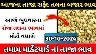 🔥 tal na bhav 🔥  તલ નાં ભાવ 2024  આજનાં ગુજરાતનાં તલ નાં ભાવ  સફેદ તલ નાં ભાવ  latestbazarbhav [upl. by Onirefes]