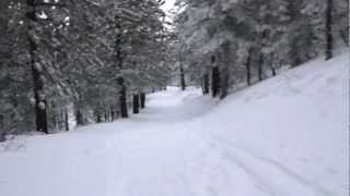 Cross Country Skiing at Mt Pinos California [upl. by Horatia]