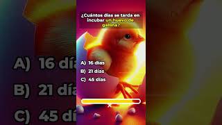 🔴¿CUANTO SABES DE CULTURA GENERAL 🟢 quiz Triviador trivia [upl. by Kuhlman]