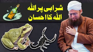 Mendhak Aur Bichhu Ki Waqia  Frog and Scorpion Story  Abdul Habib Attari  Darya e Neel Ka Waqia [upl. by Notloc]