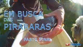 EM BUSCA DAS PIRARARAS PARTE FINAL [upl. by Airemaj194]