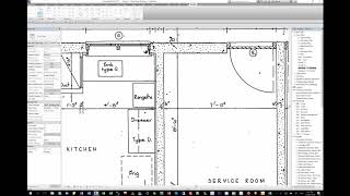 Raster Scan to CAD and import to Revit for Tracing [upl. by Selym804]