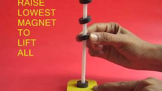 Magnetic Jumping Frog Activity [upl. by Etteluap400]