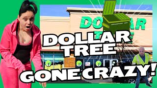 Dollar Tree GONE CRAZY dumpsterdivers dumpsterdivers dumpsters dumpsterdiving [upl. by Eisset]