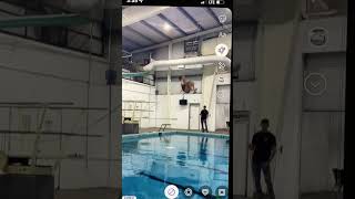 Diving fails 🤭🫣😂diving fails funny [upl. by Ahtekal]