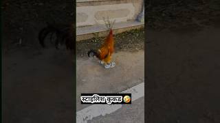 स्टाइल कुक्ड 🤣 shorts funnyshorts comedy tiktokvideo [upl. by Upshaw224]