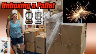 Unboxing a pallet with a variety of different items and multiple suppliers [upl. by Kassey]