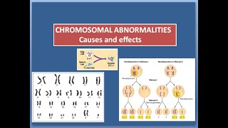 Chromosomal Abnormalities  Causes and Effects  Basic Life Science  by Debarati [upl. by Nagey173]