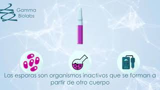 ¿Cómo funcionan los INDICADORES BIOLOGICOS para AUTOCLAVE 🧪  Gamma Biolabs [upl. by Iredale]