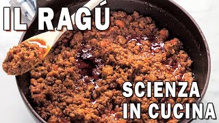 IL RAGÚ  La Scienza in Cucina [upl. by Zebe]